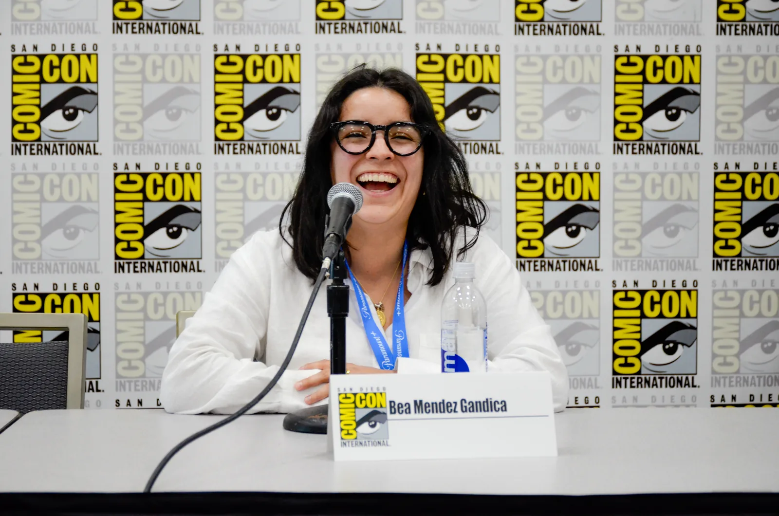 San Diego Comic-Con Panel